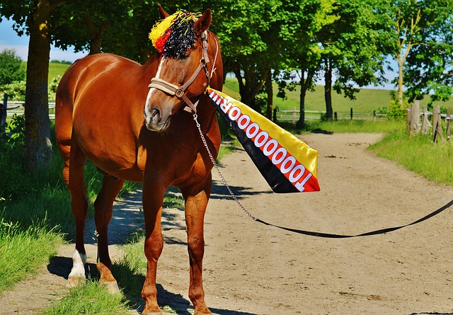 新老朋友齐聚 山东“元素”闪耀CBA全明星周末.